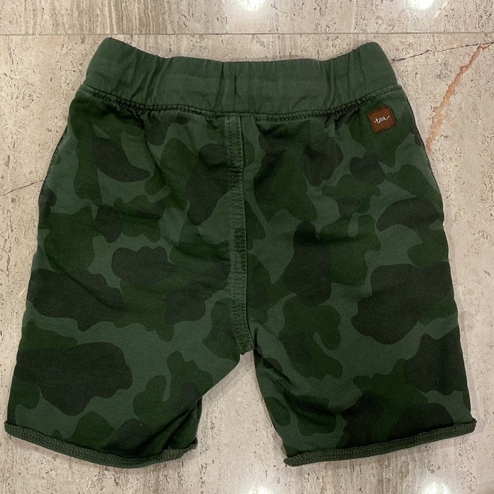 Tea Collection Shorts